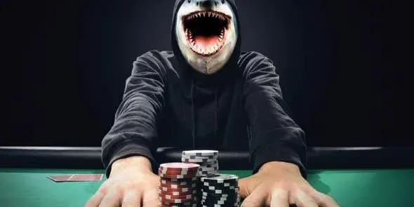 poker shark