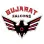 Gujarat Falcons